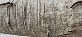 Enlarge photo 44