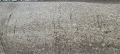 Enlarge photo 41