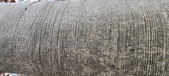 Enlarge photo 48