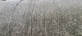 Enlarge photo 47