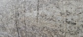 Enlarge photo 46
