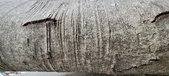 Enlarge photo 50