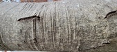 Enlarge photo 49