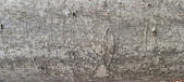 Enlarge photo 55