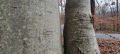Enlarge photo 58
