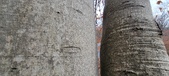 Enlarge photo 57