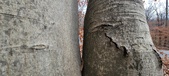 Enlarge photo 61