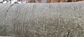 Enlarge photo 65