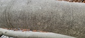 Enlarge photo 66