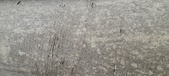 Enlarge photo 67