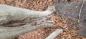 Enlarge photo 69