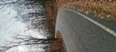 Enlarge photo 125