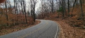 Enlarge photo 126