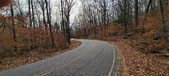 Enlarge photo 127