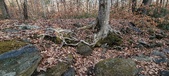 Enlarge photo 130