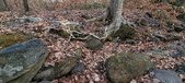 Enlarge photo 131