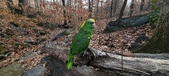 Enlarge photo 132