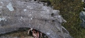 Enlarge photo 133