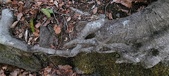 Enlarge photo 134