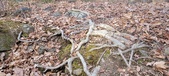Enlarge photo 136