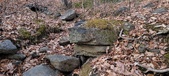 Enlarge photo 139