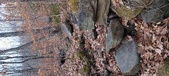 Enlarge photo 140