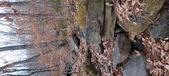 Enlarge photo 141