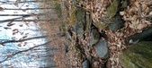 Enlarge photo 142
