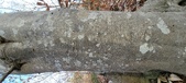 Enlarge photo 143