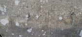 Enlarge photo 148