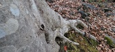 Enlarge photo 147