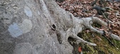 Enlarge photo 146