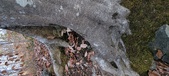 Enlarge photo 150