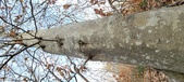 Enlarge photo 149