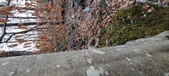 Enlarge photo 154