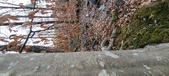 Enlarge photo 153