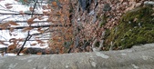 Enlarge photo 159