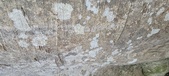 Enlarge photo 157
