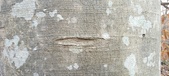 Enlarge photo 156