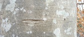 Enlarge photo 163