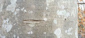 Enlarge photo 162