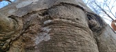 Enlarge photo 167