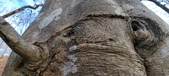 Enlarge photo 165