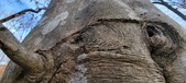 Enlarge photo 164