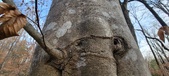 Enlarge photo 171