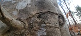 Enlarge photo 169