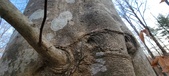 Enlarge photo 168