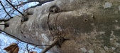 Enlarge photo 175