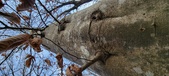 Enlarge photo 173