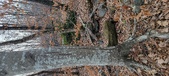 Enlarge photo 179